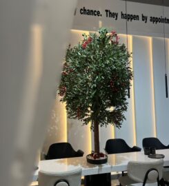 The Grey Beauty Center